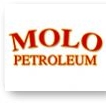 Molo Careers